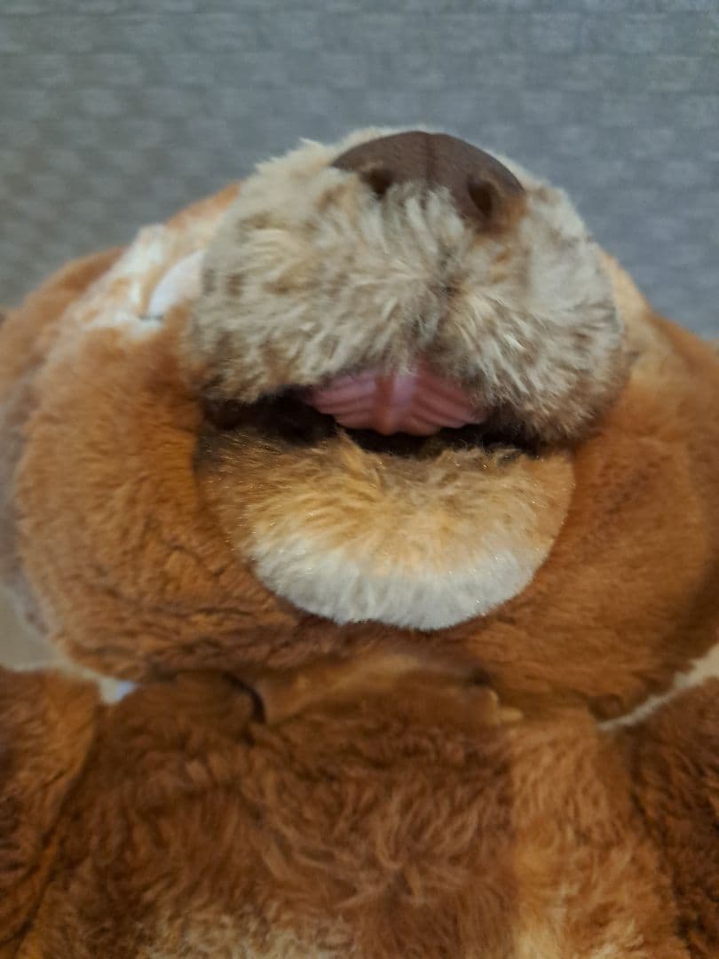 廃盤品 レア ファーリアル こぐまのカビー 動作確認済