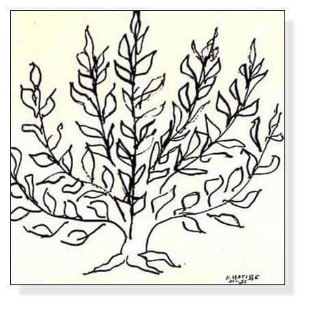 額装済/低木 1951 リプロダクション/マティス/ポスター/インテリア/アート