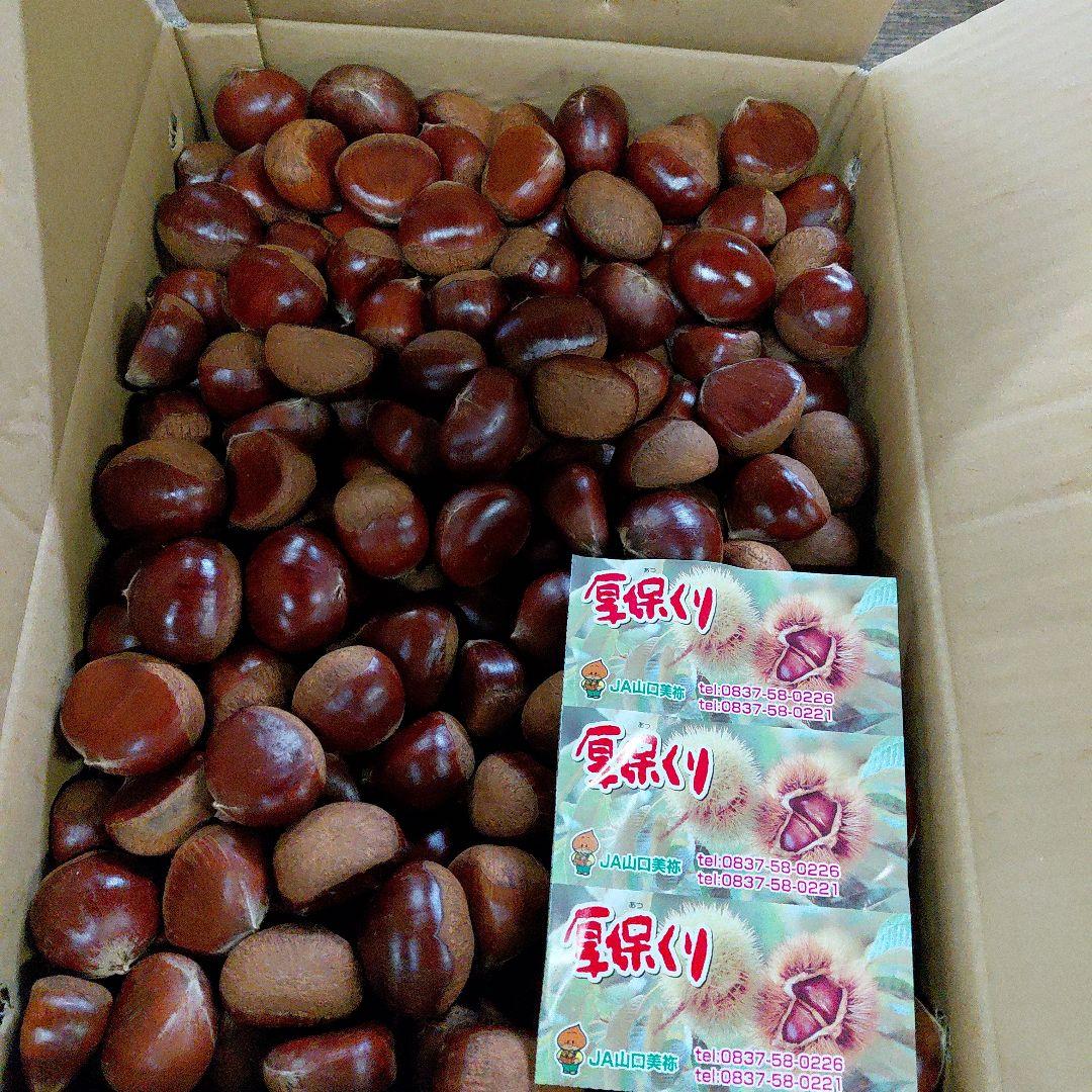 山口県産 3Lサイズ 栗 30kg専用になります 予約品になります。