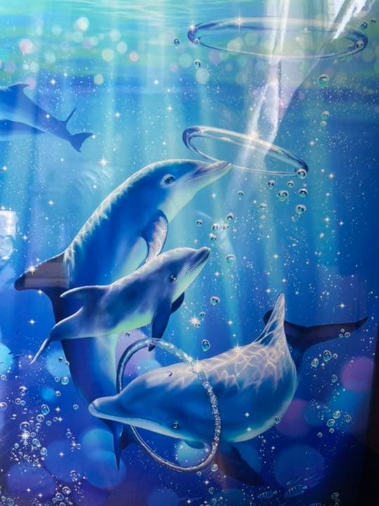 ラッセン　ドルフィンシンフォニー