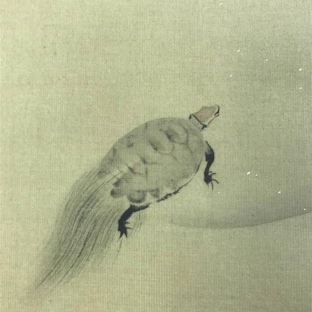 複製/酒井抱一/蓬莱山図/工芸品/祝事山水図/横物/掛軸/名家伝来/AE-48