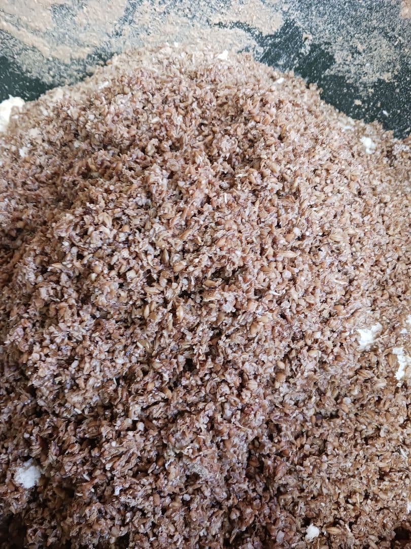 平飼い名古屋コーチン有精卵48個 保証4個含む