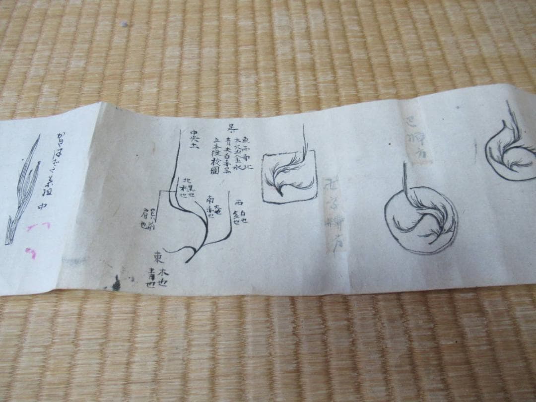 美品 江戸中期 手書き華道手本巻物◆三雅流挿花法式図（華道/いけばな）「遠州流」