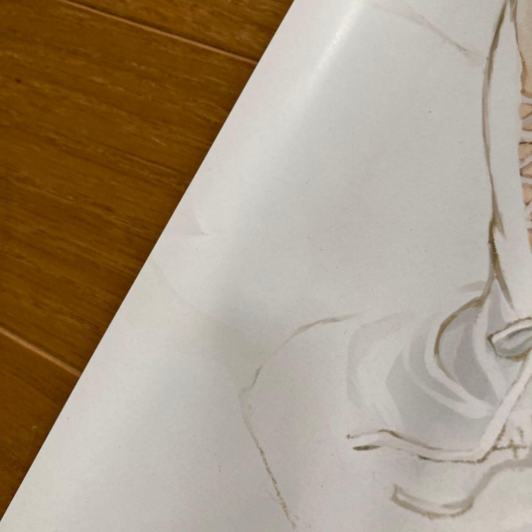 未使用　Hudson 北へ。White Illumination ポスター