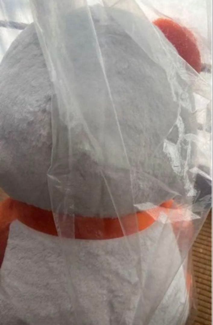 お値下げ中❗️AAA 15th Anniversary え～パンダ