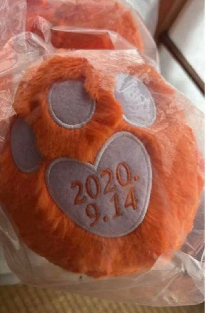 お値下げ中❗️AAA 15th Anniversary え～パンダ