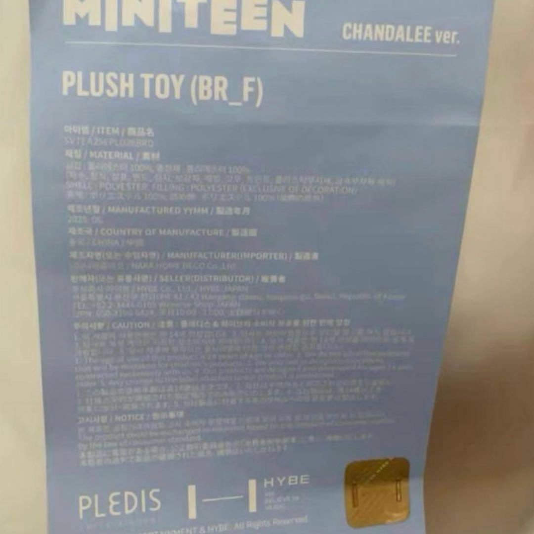 miniteen ミニティーン DINO ディノ セブチ