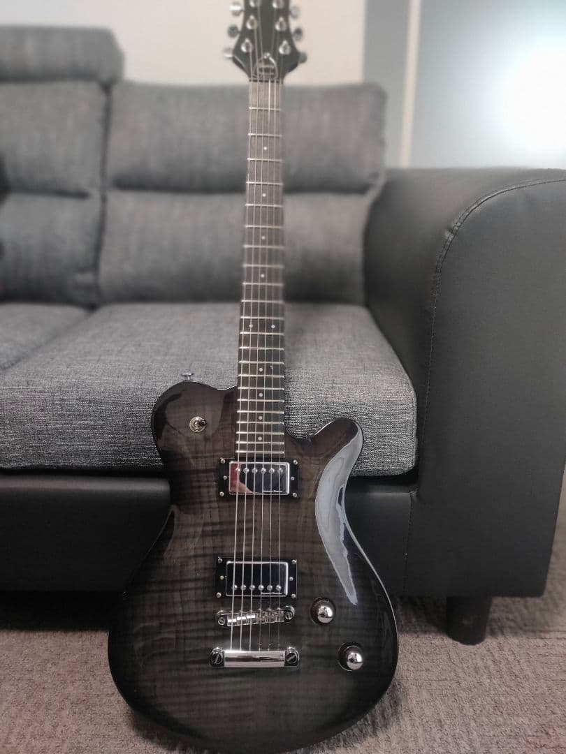 希少！Framus Dシリーズ Panthera Supreme　フラマス