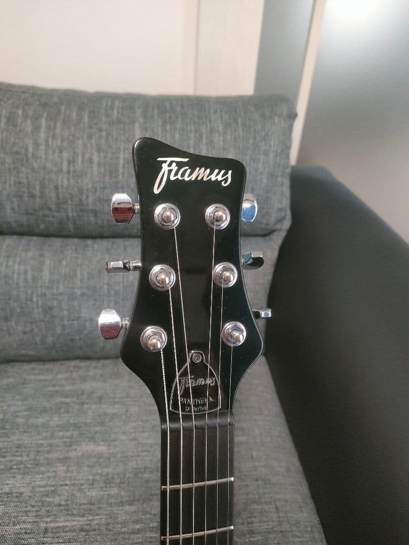 希少！Framus Dシリーズ Panthera Supreme　フラマス