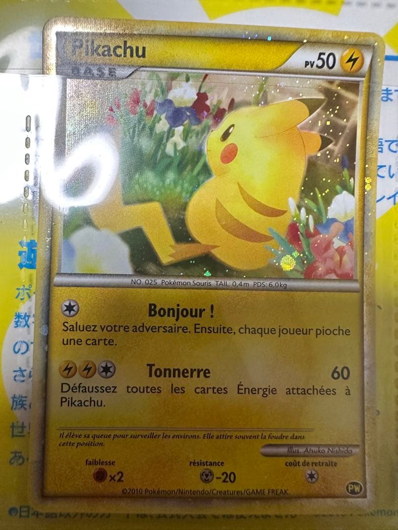 ピカチュウワールドコレクション2010 &25周年ゴールデンBOX