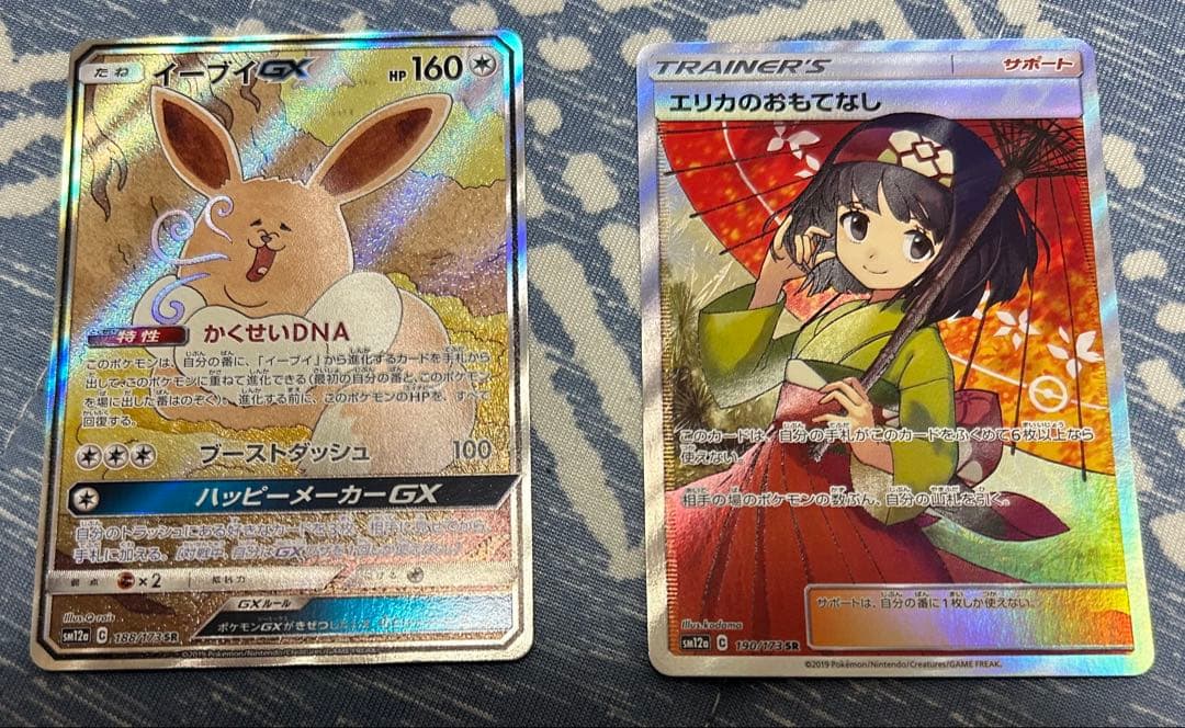 エリカのおもてなし　SR イーブイGX SA