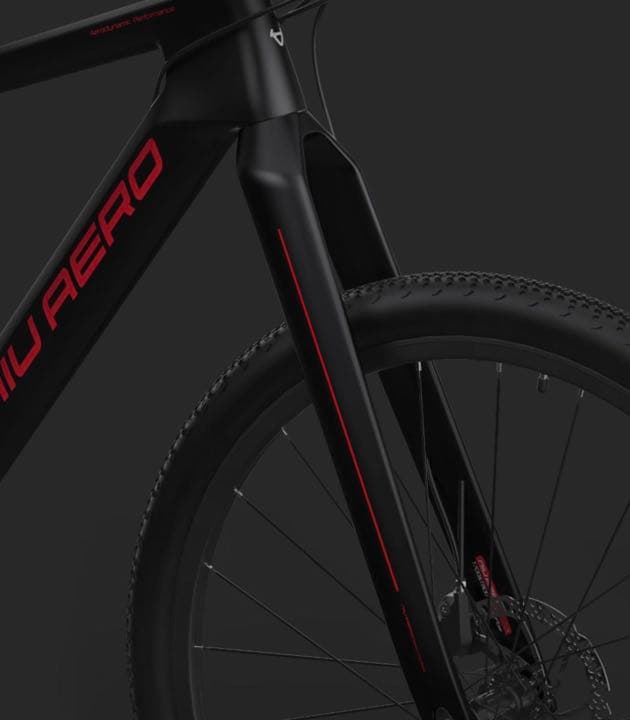 カーボンバイク