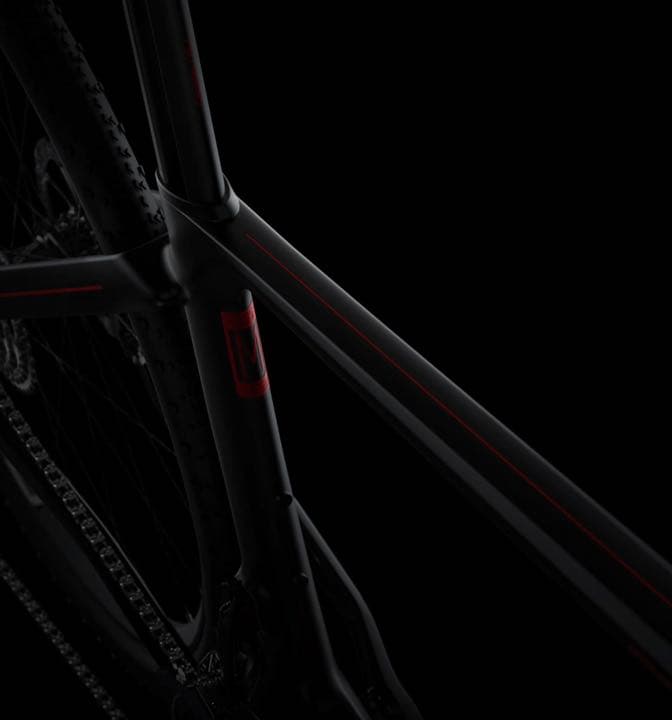 カーボンバイク