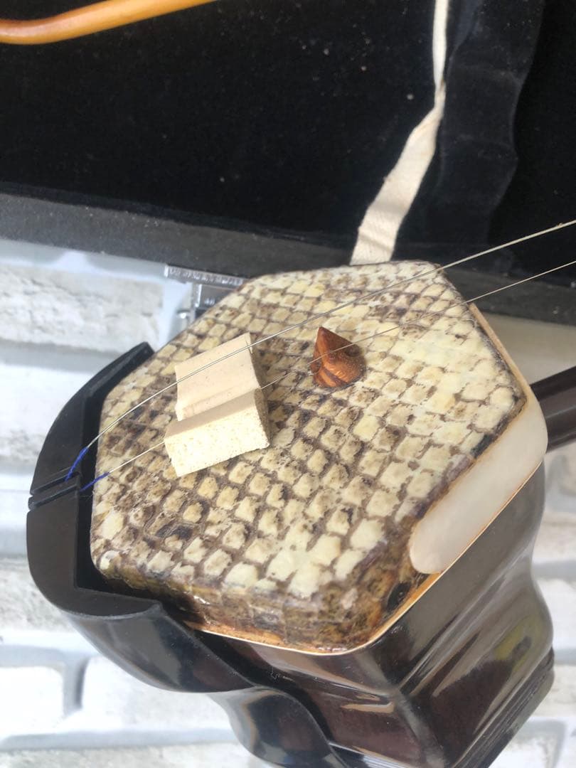 上海二胡　中国　伝統楽器　弦楽器　民族楽器ケース付(A31)