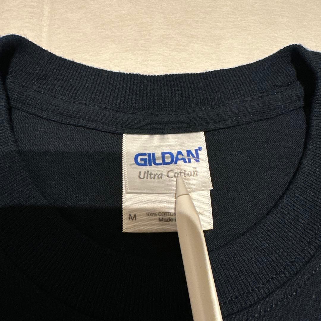 Bjork ビョークTシャツ Mサイズ ヴィンテージ　フジロック