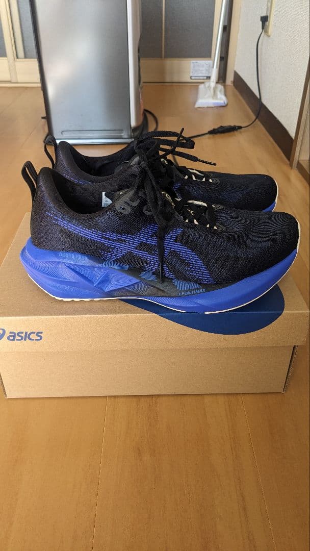 ASICS ノヴァブラスト5 NOVABLAST5 25.0cm