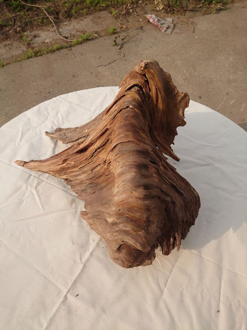 アクアリウム・テラリウム向き流木枯木