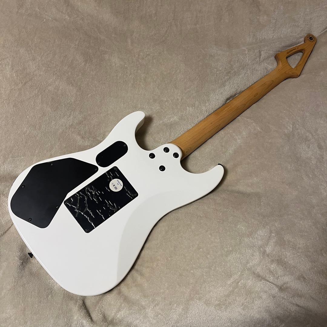 ギター Floyd Rose Outlaw SL