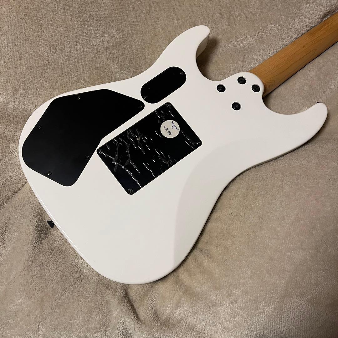 ギター Floyd Rose Outlaw SL