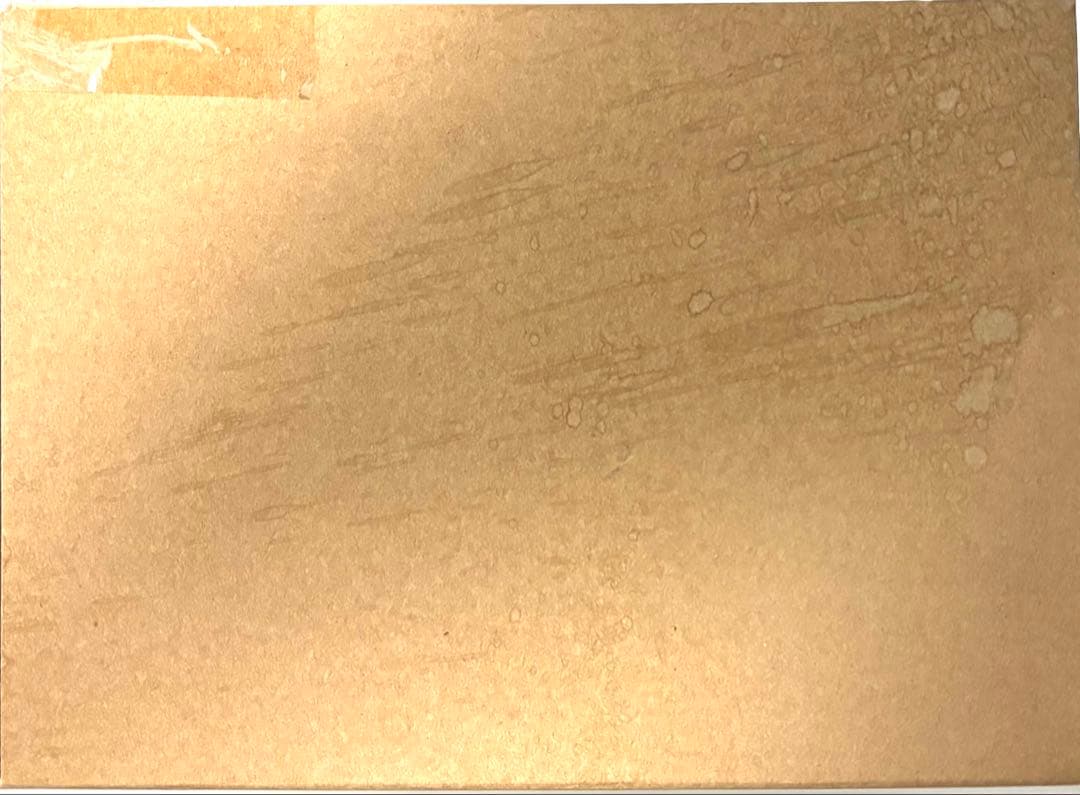 限定販売　S.H.MonsterArts ゴジラ(2016)第4形態覚醒Ver.