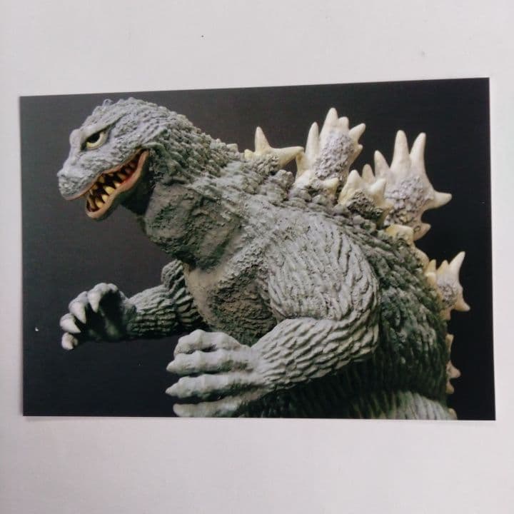 マーミット 30㎝ キンゴジ