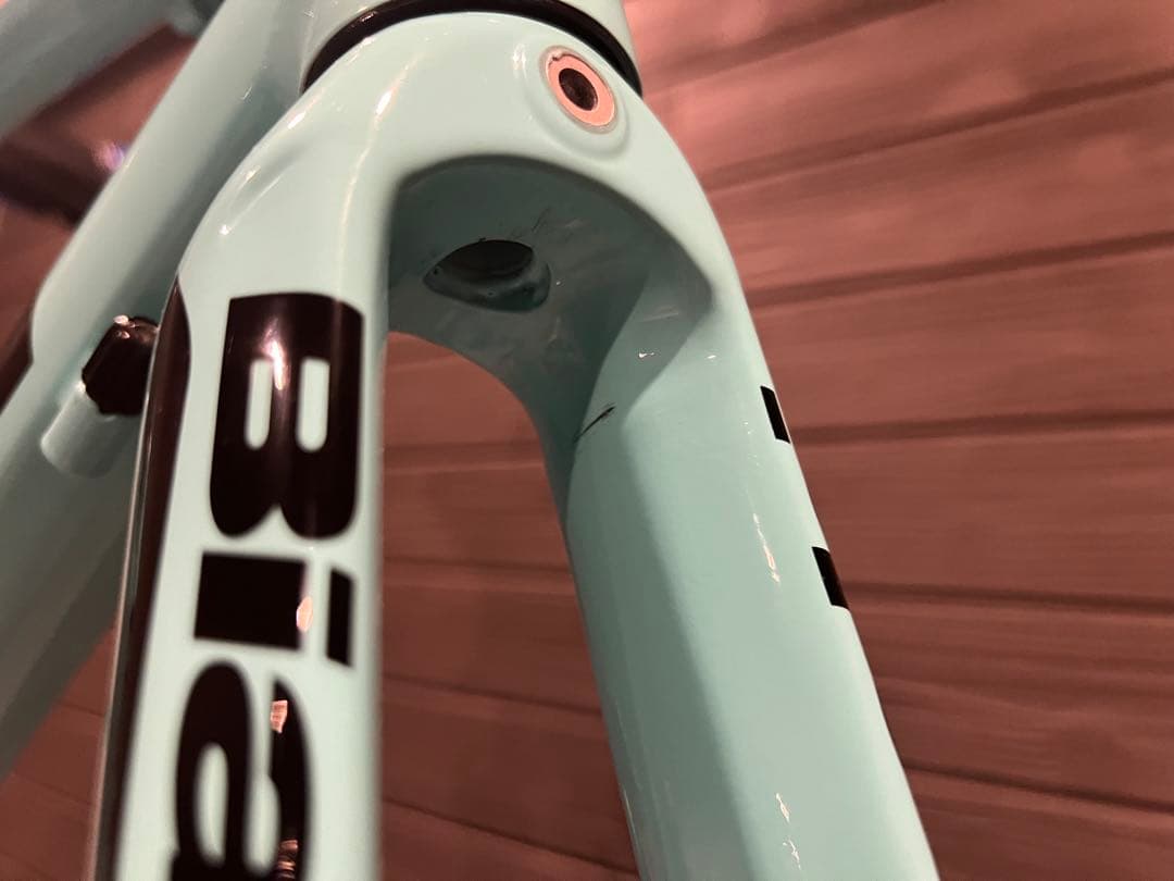 Bianchi IMPULSO 2019 53size フレーム