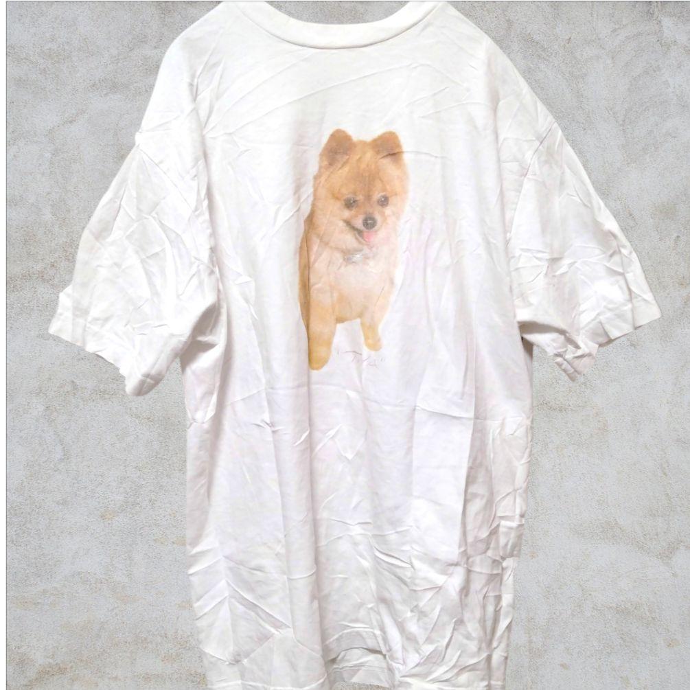 希少【М】ロザリア ポメラニアン Tシャツ モトマミ 犬T　Rosalía