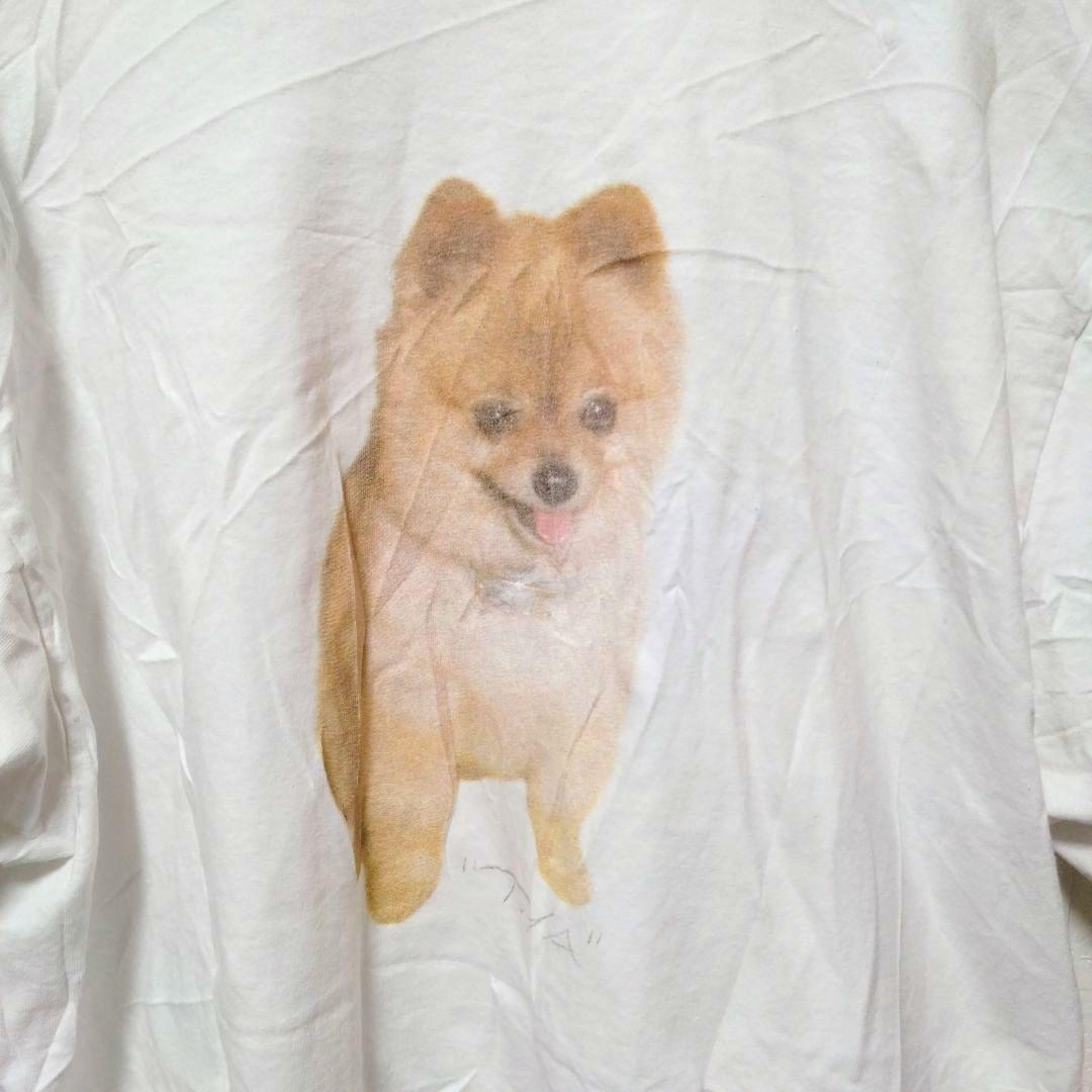 希少【М】ロザリア ポメラニアン Tシャツ モトマミ 犬T　Rosalía