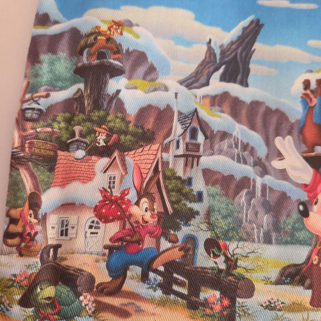 ディズニー　クリッターカントリー　巾着