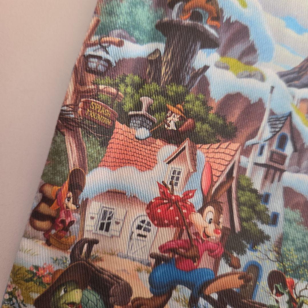 ディズニー　クリッターカントリー　巾着