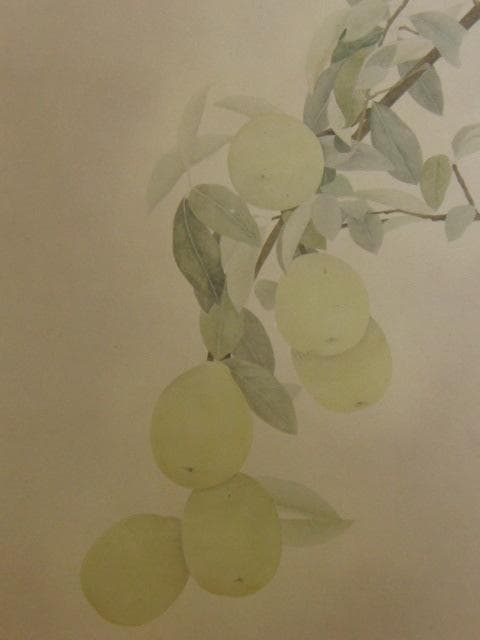 村田茂樹、【かりん】、希少な額装用画集より、新品額装付