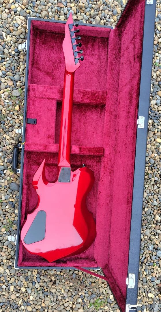 ESPordermade品　D-DRメイプル指板　DIRENGREY　DIEさん