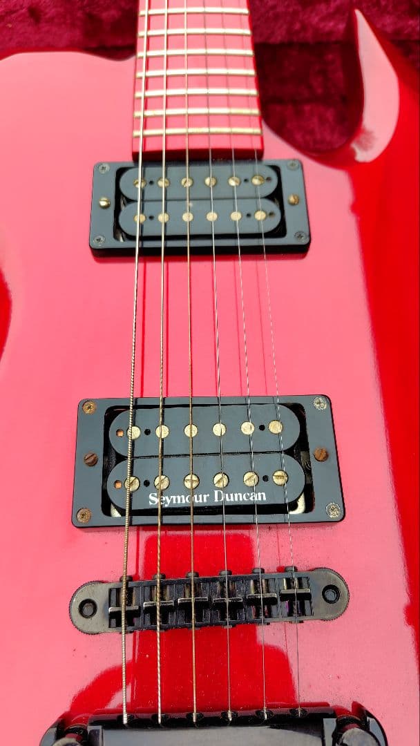 ESPordermade品　D-DRメイプル指板　DIRENGREY　DIEさん