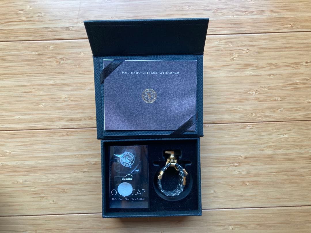 管楽器・吹奏楽器 SILVER STEIN HEXA champagne GOLD