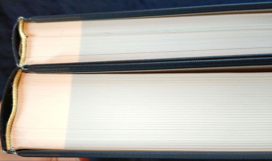 世界のクワガタムシ大図鑑 6