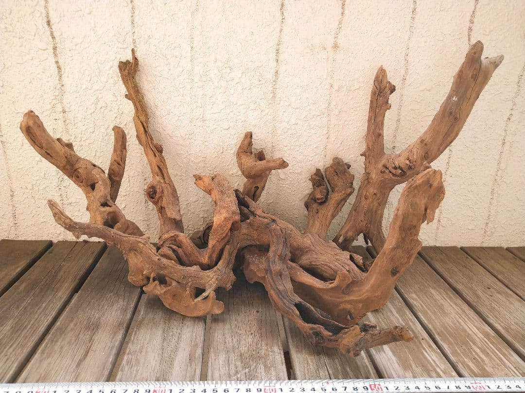 アクアリウム用品　レイアウト 良型 流木 Ｍ Ｌサイズ　７本セット