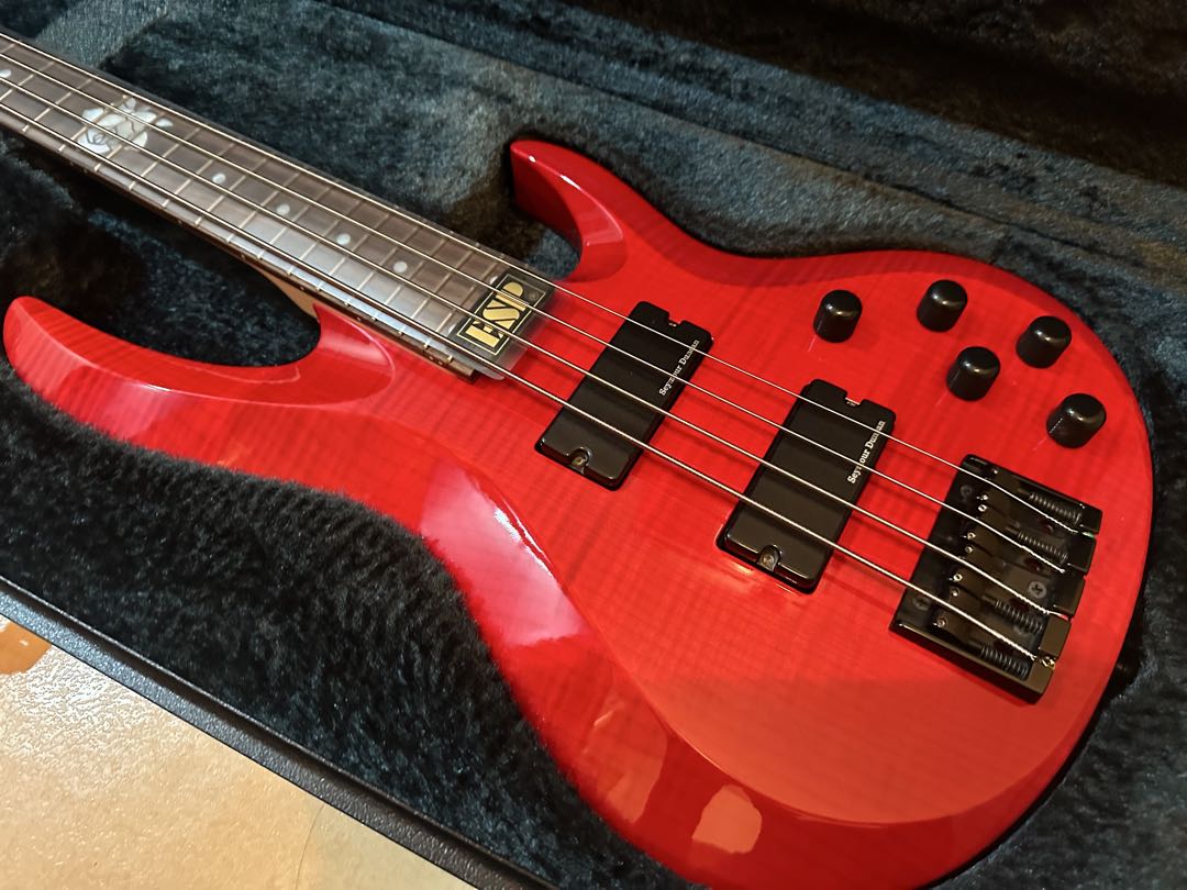 ESP BTL ROSELIA LISA バンドリ 今井リサ