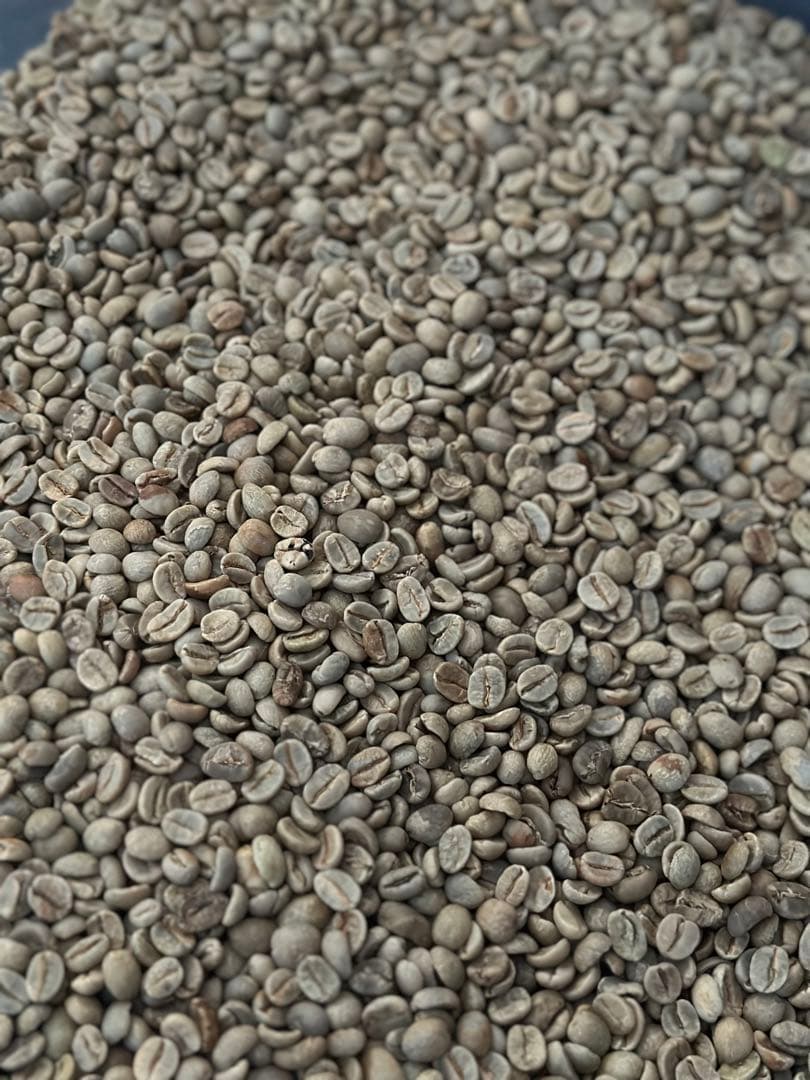 爆安！！[コーヒー 生豆 ]ブラジル5kg/コロンビア5kgの2種セット