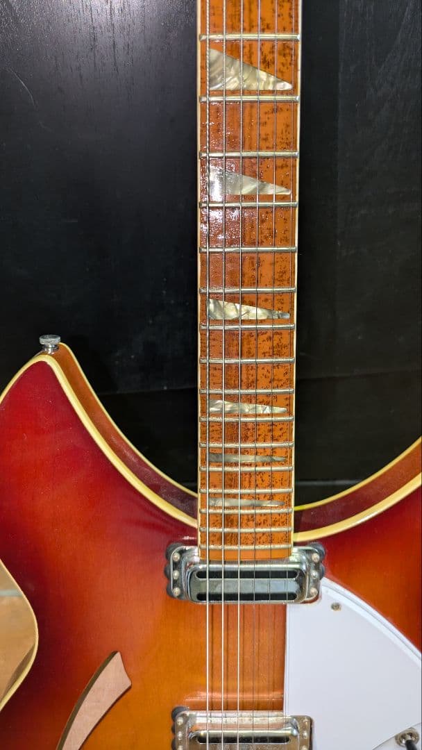 Rickenbacker 360 タイプ