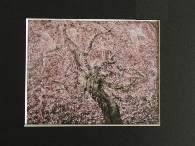 堀研、【生】、希少な額装用画集画、新品高級額 額装付、状態良好