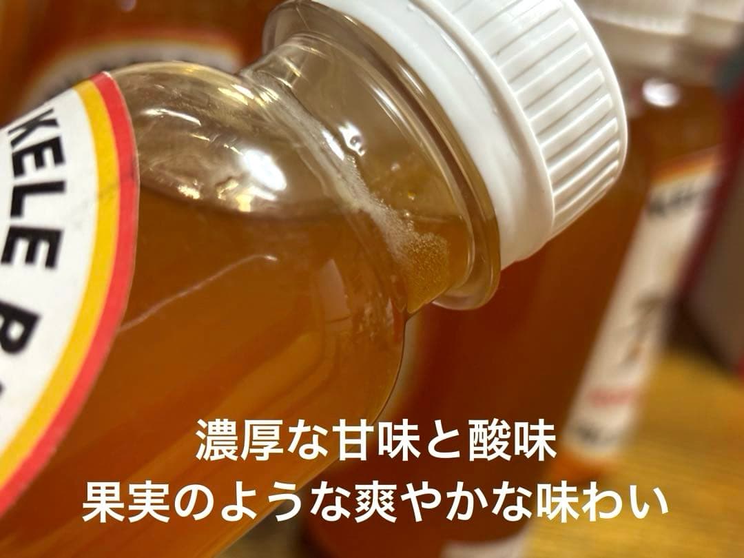 ナマコの肝さま 針なしミツバチの蜂蜜(完全非加熱)9本