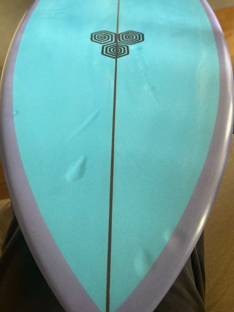 【手渡しもOK】FEB'S FISH 5'11フィッシュボード 青