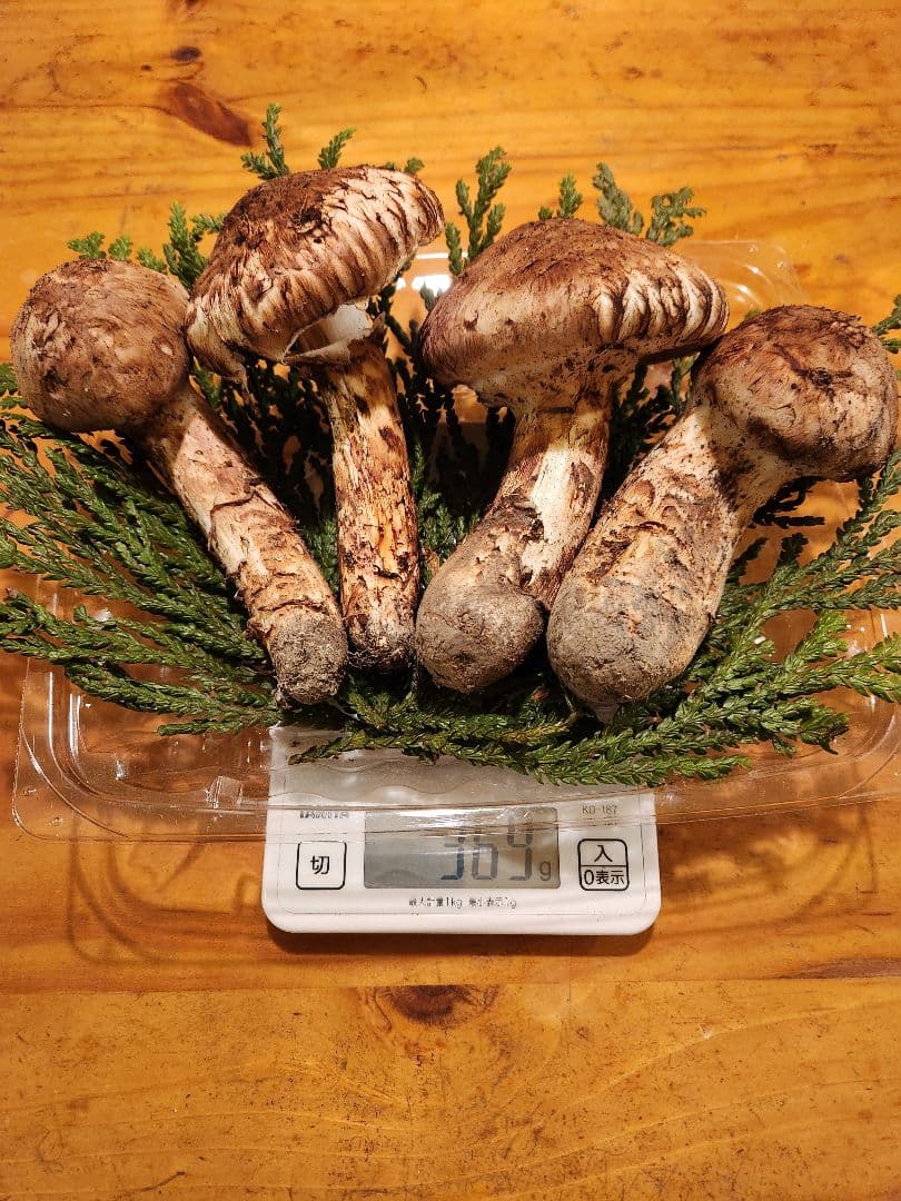 北海道産松茸　369g