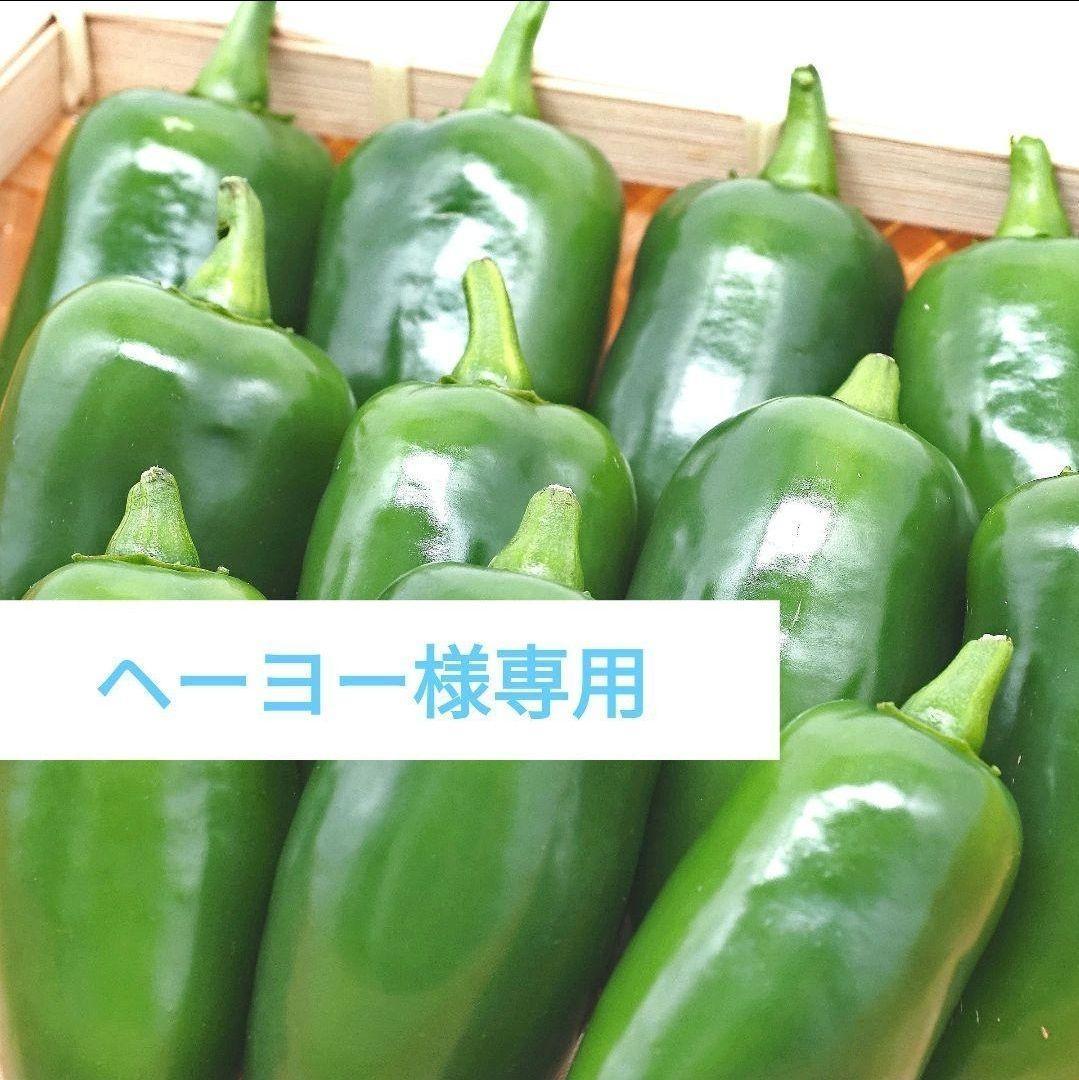 ヘーヨー　ハラペーニョB・C品