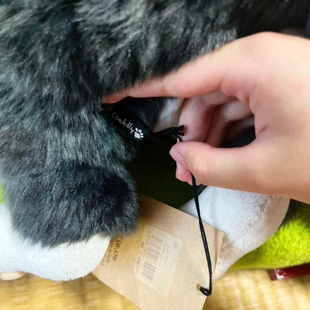 Cuddly ぬいぐるみ 猫 ソメゴロー