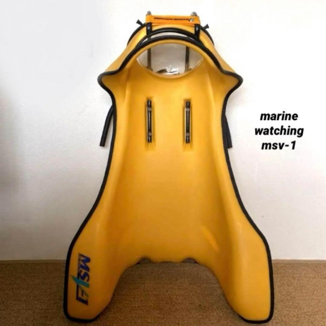 【送料込み / レア！希少！】シュノーケル ボディボード