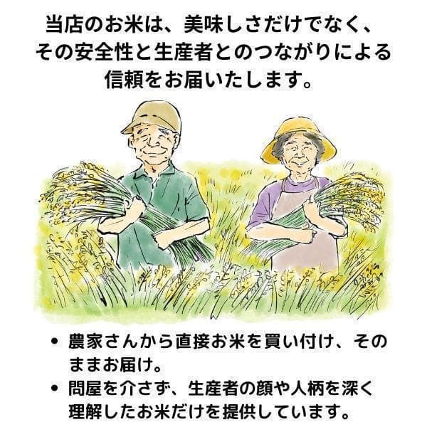 令和７年産 新米 「ふさこがね」10kg 千葉県の美味し減農薬米！