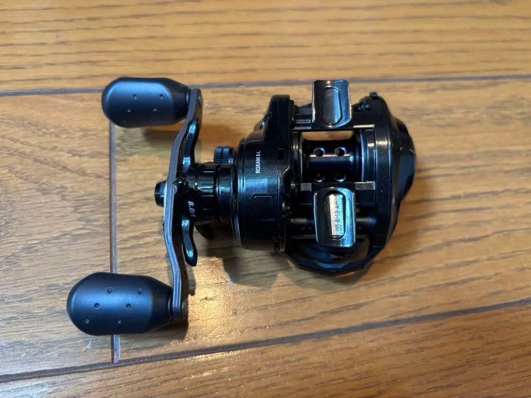 【のちん】美品⭐︎アブガルシア　ロキサーニ8