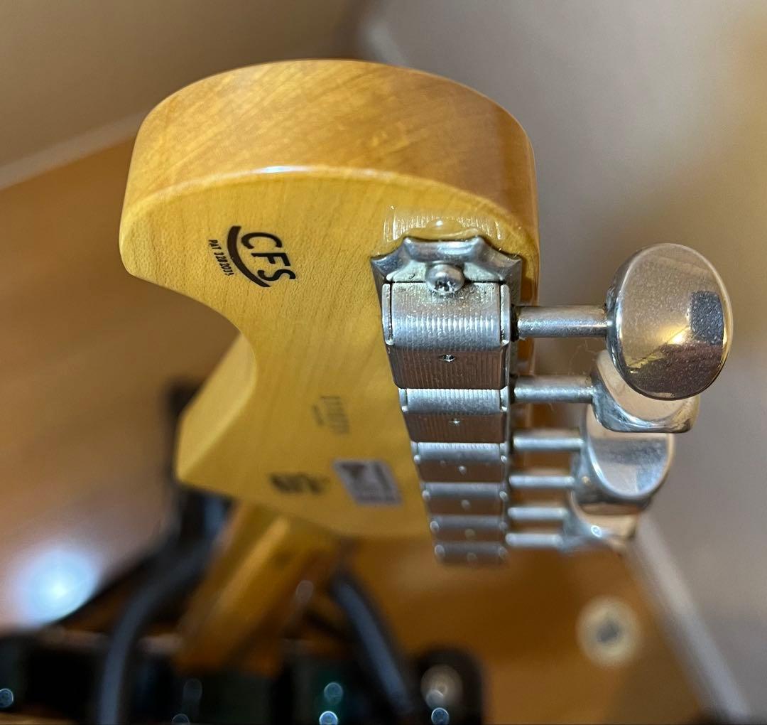 Fujigen(FGN) Neo Cassic タイムレスティンバーネック