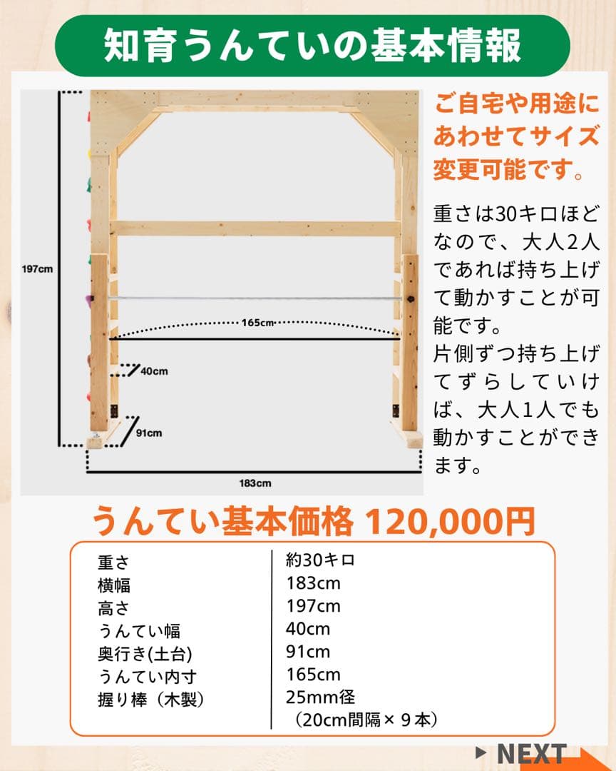 うんてい　ボルダリング　雲梯　知育うんてい　正規品